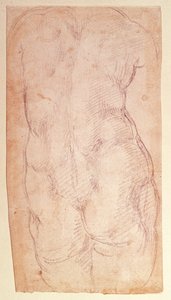 Studie van de rug van een naakt figuur